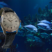 Value-for-money Vintage Watch Spotlight: 1960s Movado Trans-Atlantic Sub-Sea 50 Date-Just